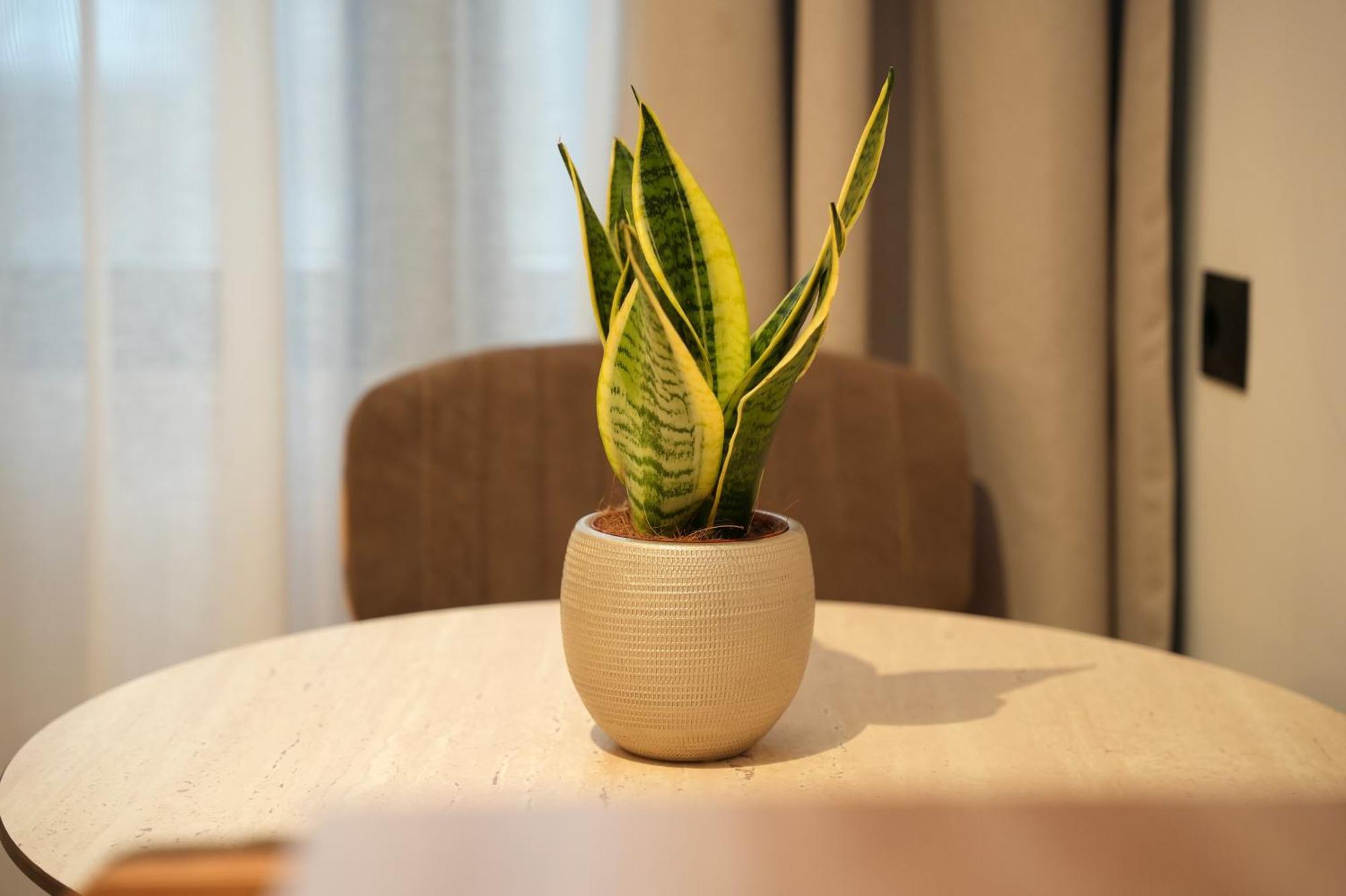 Nea Deluxe Apart-Hotel Tiranë Ngoại thất bức ảnh